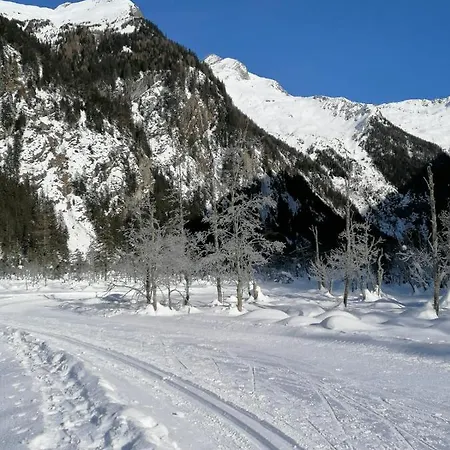 Angermaier Appartement *