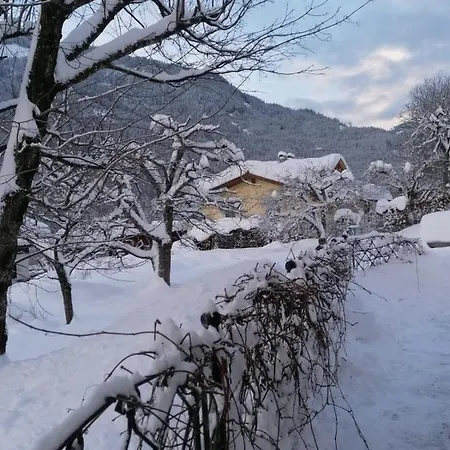 Angermaier Apartment