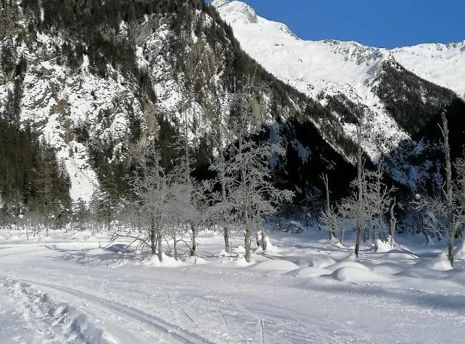 Angermaier アパート *