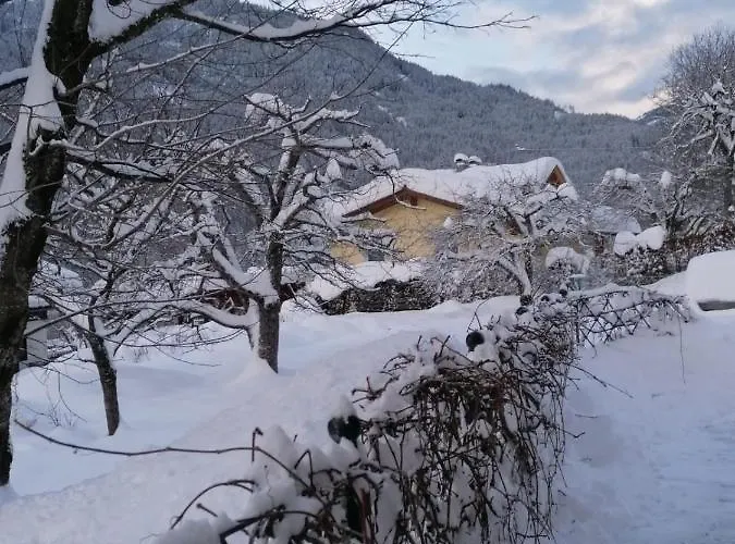 Angermaier アパート