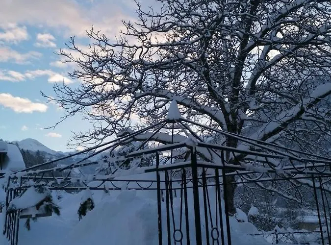 アパート Angermaier